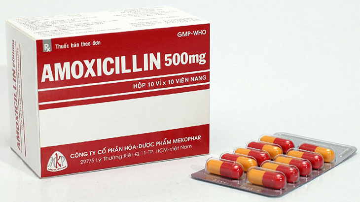 Kháng sinh Amoxicillin 