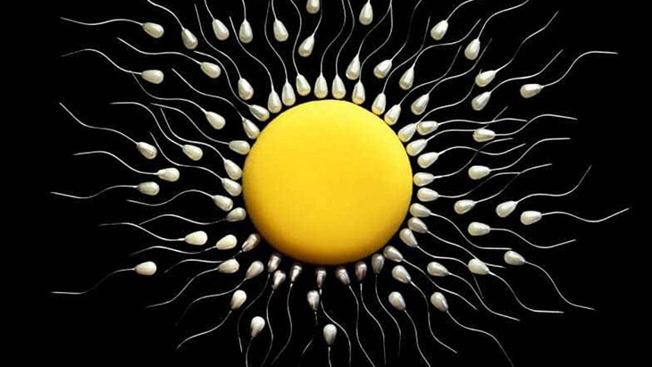 Tinh trùng yếu có thể thụ thai nếu di chuyển đến gặp được trứng