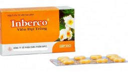 Thuốc viêm đại tràng Inberco - Công dụng, liều dùng và giá bán hiện nay