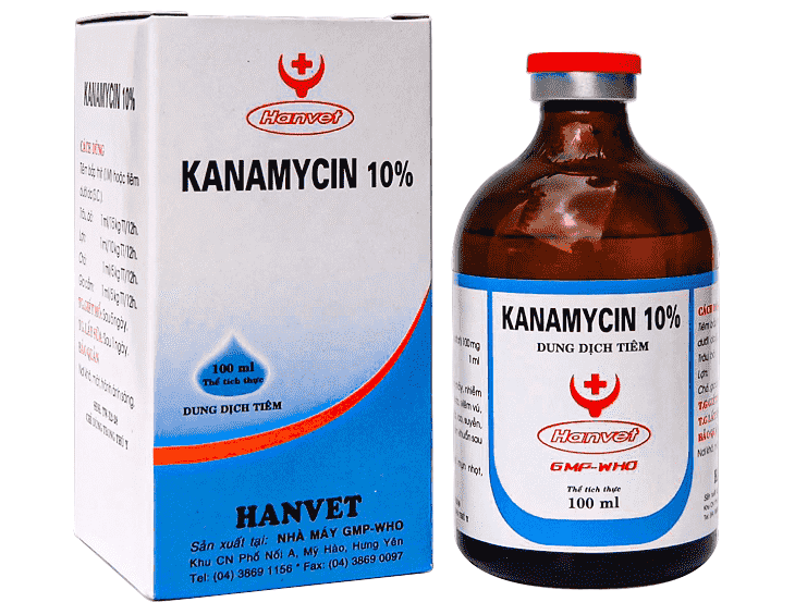 Kanamycin có dạng dung dịch chứa Kanamycin 10%.