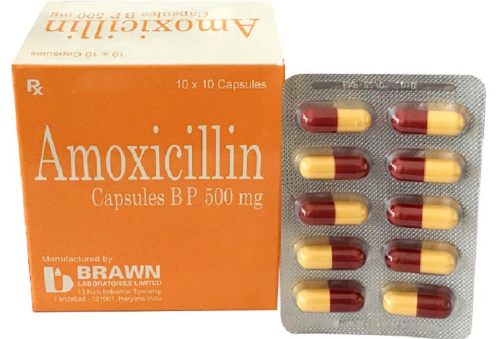 Amoxicillin - thuốc điều trị viêm tai giữa