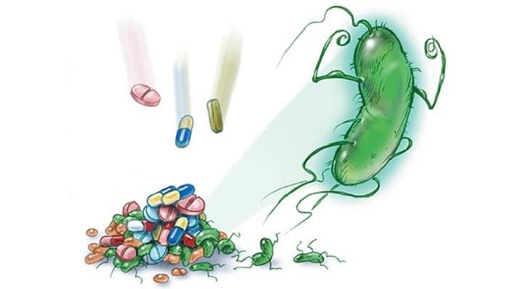 Vi khuẩn HP kháng thuốc cần có phác đồ điều trị riêng