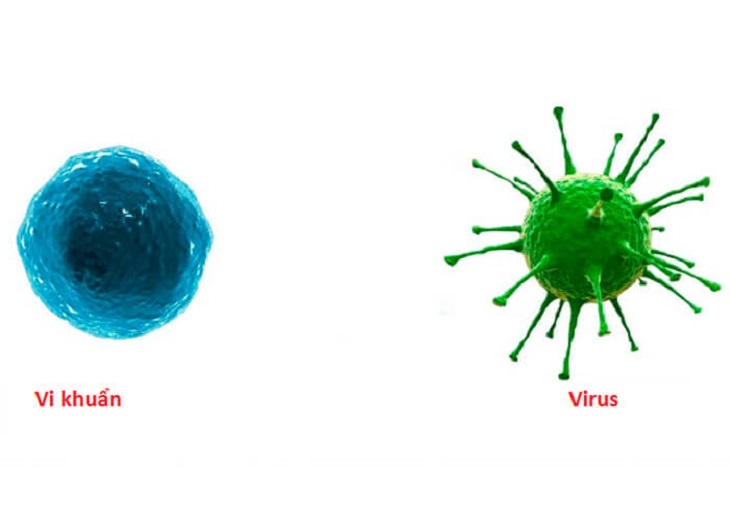 Các vi khuẩn, nấm gây bệnh rất dễ phát tán và lây nhiễm
