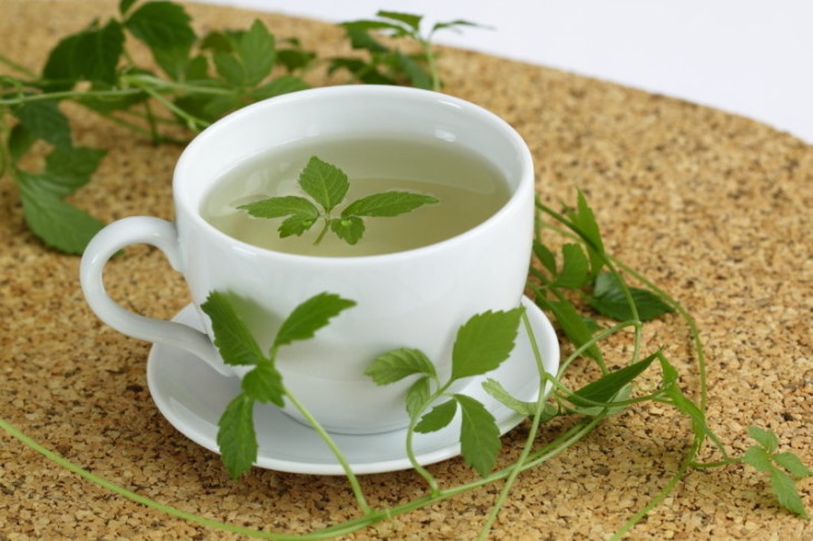 Sử dụng trà thảo dược mỗi ngày mang đến nhiều lợi ích cho sức khỏe