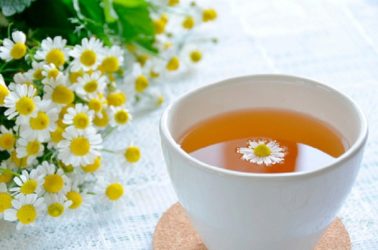 Dùng trà cúc la mã để chữa nhiệt miệng