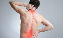 Đau nhức xương sống lưng: Những thông tin quan trọng cần biết
