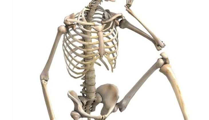 Có rất nhiều yếu tố tác động đến sức khỏe của xương