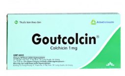 Goutcolcin là sản phẩm được sản xuất bởi nhà máy sản xuất dược phẩm Agimexpharm