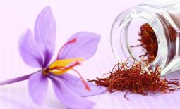 Mách bạn 7+ cách dùng saffron để giảm cân hiệu quả mà đơn giản nhất!