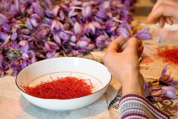 Mách bạn cách phân biệt saffron giả và thật - Địa chỉ mua nhụy hoa nghệ tây uy tín