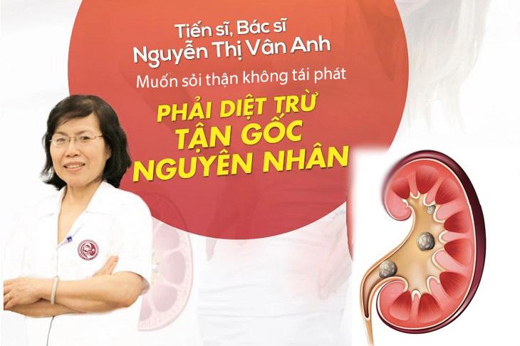 Bác sĩ Vân Anh chia sẻ quan điểm chữa sỏi thận hiệu quả từ YHCT