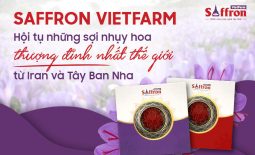 Saffron Vietfarm - Bảo bối tống tiễn mất ngủ kinh niên cho giấc ngủ an lành đến sáng