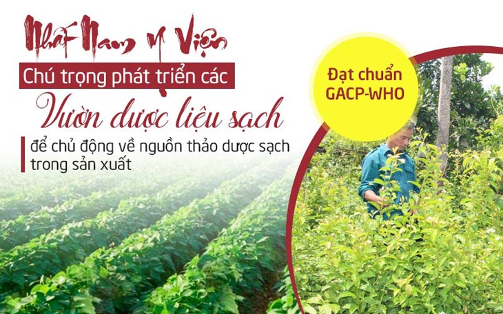 Trung tâm Da liễu Đông y Việt Nam luôn chú trọng phát triển các vườn dược liệu sạch 