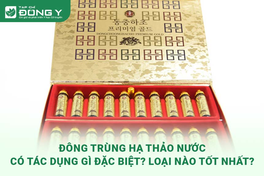 dong-trung-ha-thao-nuoc