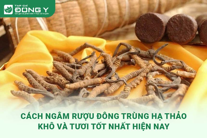 cach-ngam-ruou-dong-trung-ha-thao