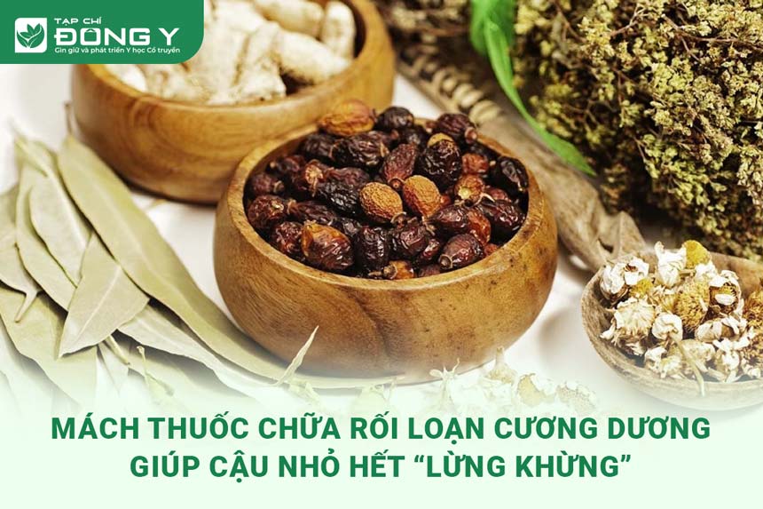 thuoc-chua-roi-loan-cuong-duong