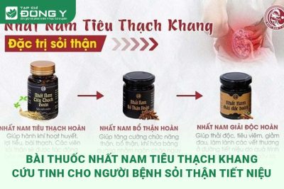 bai-thuoc-nhat-nam-tieu-thach-khang