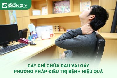 cay-chi-chua-dau-vai-gay-phuong-phap-dieu-tri-benh-hieu-qua