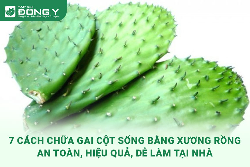 chua-gai-cot-song-bang-xuong-rong