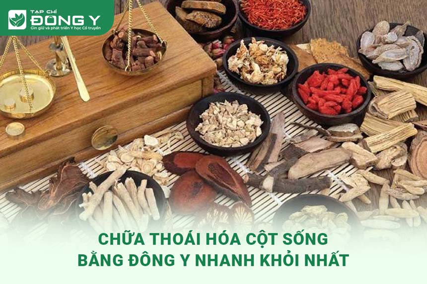 chua-thoai-hoa-cot-song-bang-dong-y