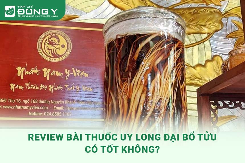 review-bai-thuoc-uy-long-dai-bo-tuu