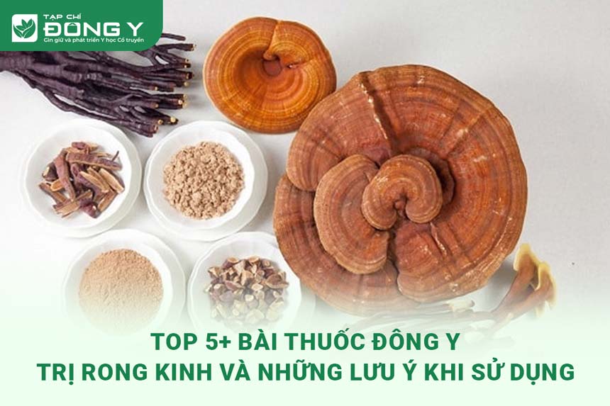 thuoc-dong-y-tri-rong-kinh