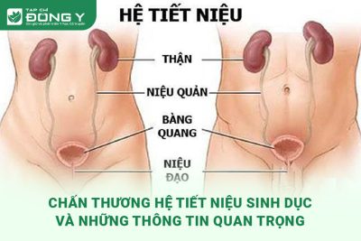 chan-thuong-he-tiet-nieu-sinh-duc