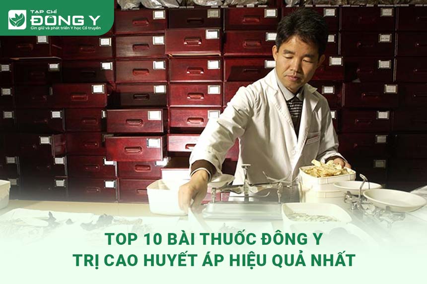 thuoc-dong-y-tri-cao-huyet-ap