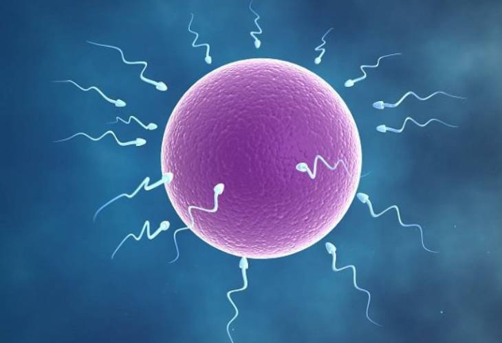 Tinh trùng ít là số lượng tinh trùng mỗi lần xuất ít hơn 15 triệu tế bào/1 ml
