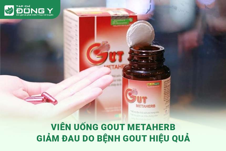 gout-metaherb