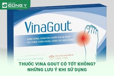 vina-gout