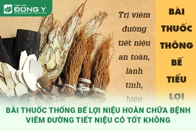 bai-thuoc-thong-loi-nieu-hoan-chua-benh-viem-duong-tiet-nieu-co-tot-khong