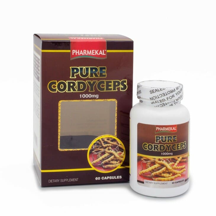 Viên uống đông trùng hạ thảo Pure Cordyceps hỗ trợ điều trị các bệnh mãn tính hiệu quả