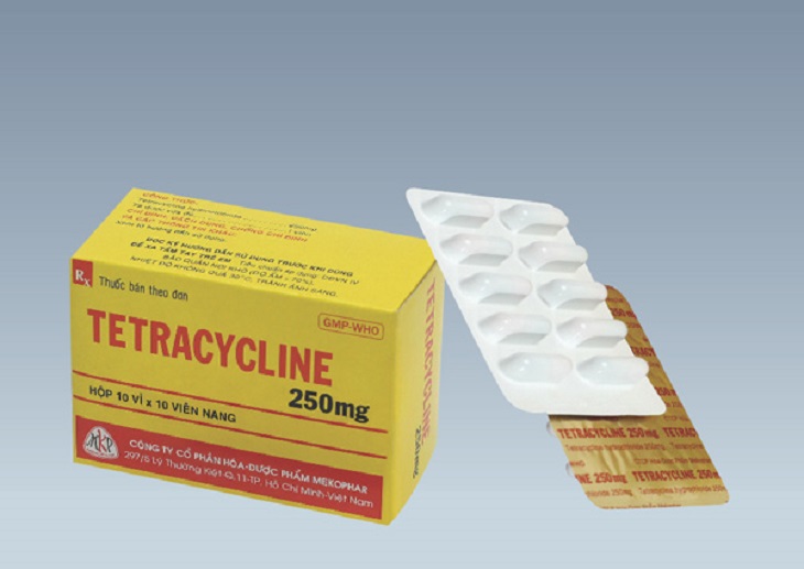Tetracycline có tác dụng ức chế vi khuẩn gây hại dạ dày