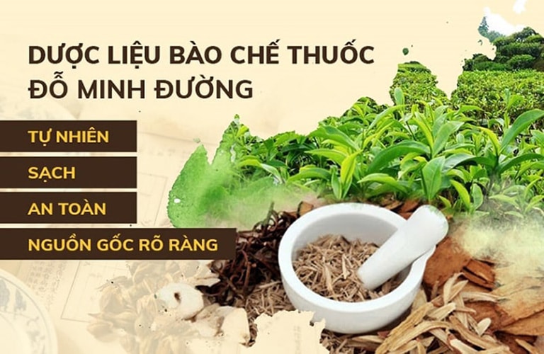 Thành phần thảo dược thuần Việt góp mặt trong bài thuốc Mề đay Đỗ Minh