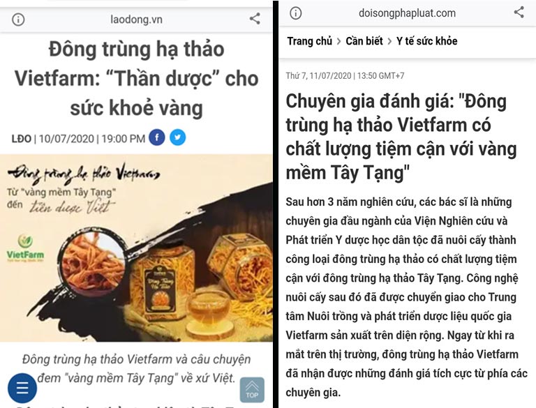 Nhiều thời báo uy tín đưa tin chất lượng của đông trùng hạ thảo Vietfarm tiệm cận với đông trùng hạ thảo Tây Tạng, khẳng định uy tín của thương hiệu Vietfarm