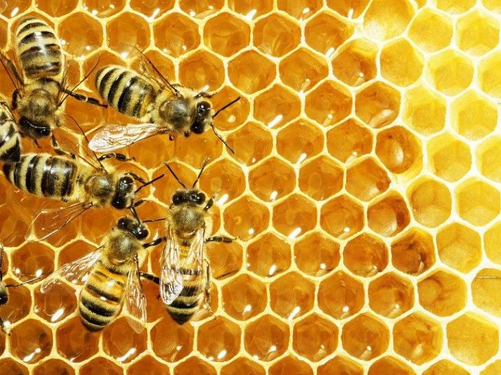 Cách trị ngứa da mặt tại nhà bằng mật ong
