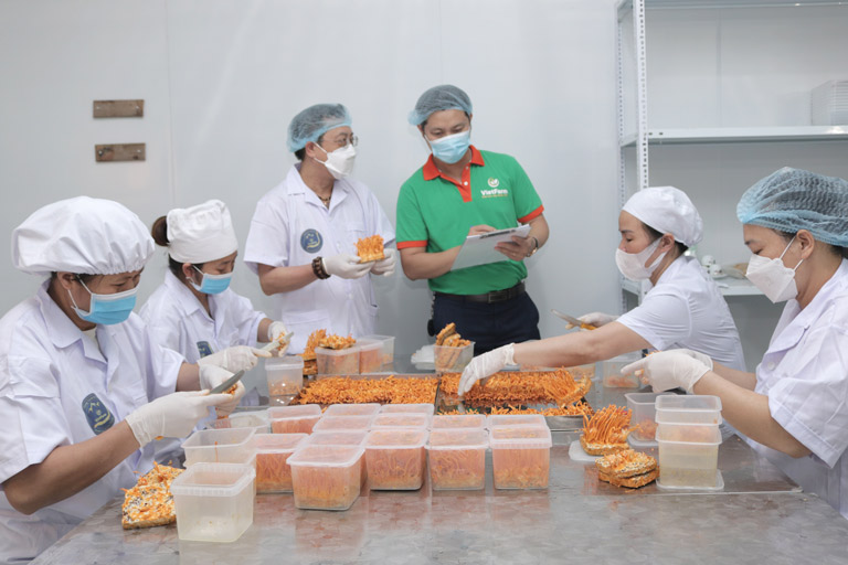 Cơ sở nuôi cấy đông trùng hạ thảo chất lượng cao của Trung tâm Vietfarm