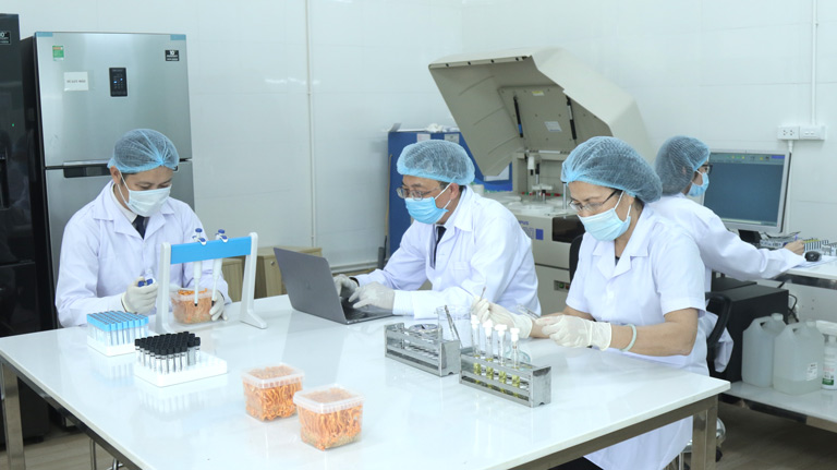 Ứng dụng công nghệ cao trong quá trình nuôi cấy Đông trùng hạ thảo Vietfarm
