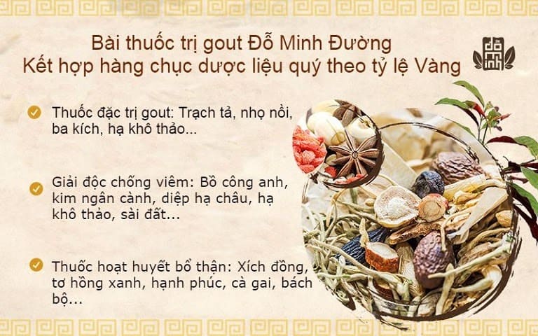 Nguồn thảo dược HỮU CƠ thuần Việt dùng điều chế bài thuốc Gout Đỗ Minh