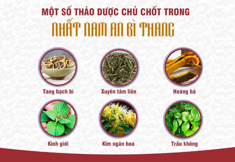 Một số thảo dược quan trọng trong Nhất Nam An Bì Thang