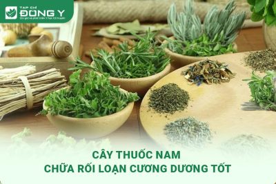 thuoc-nam-chua-roi-loan-cuong-duong