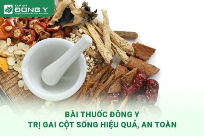 thuoc-dong-y-tri-gai-cot-song