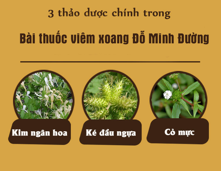 3 loại cây thuốc quý được Minh Tư sử dụng