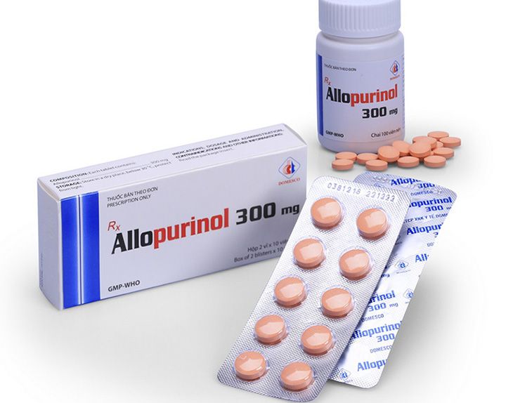 Allopurinol là thuốc trị gout được dùng trong các liều dự phòng