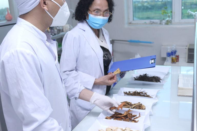 Bác sĩ Lê Phương luôn đánh giá cao việc sử dụng thảo dược tự nhiên điều trị các bệnh lý da liễu