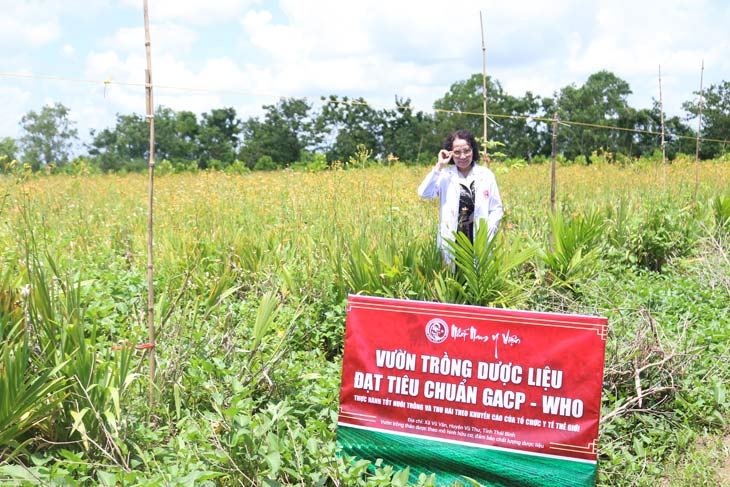 Trung tâm Da liễu Đông y Việt Nam luôn chú trọng phát triển các vườn dược liệu sạch